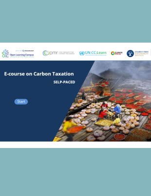 E-Course on Carbon Taxation