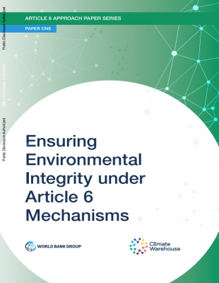 Ensuring Environmental Integrity under Article 6 Mechanisms - cover