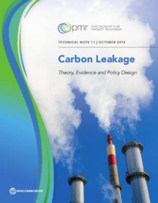 Cover of Carbon Leakage: Theory, Evidence and Policy Design