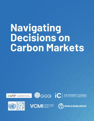 Decisions on Carbon Markets Blue background with white texts - Navigating Decisions on Carbon Markets