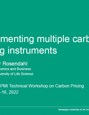 Implementing multiple carbon pricing instruments