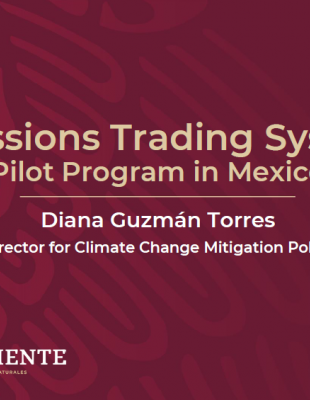 Emissions Trading System Pilot Program in Mexico