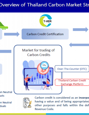 Thailand Carbon Market Structure