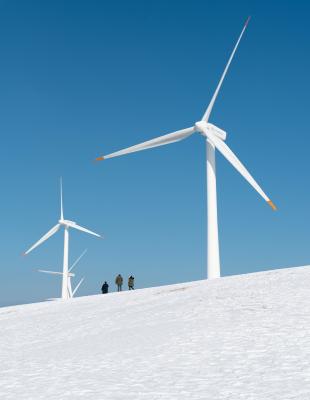 Image of wind turbines (photo credit: unsplash)
