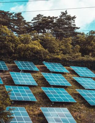 Image of solar panels Image of solar panels (photo credit: unsplash)