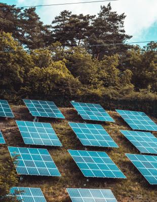 Image of solar panels (photo credit: unsplash)