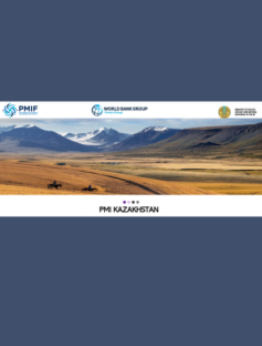 PMI Kazakhstan Implementation Support Program