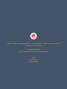 Opportunities and challenges for a Just Transition created by carbon pricing policies–Türkiye Case cover of Türkiye Case