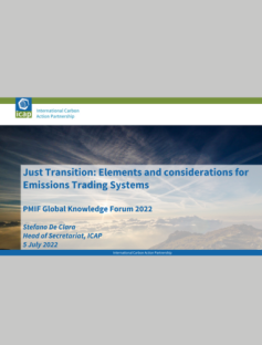 Just Transition: Elements and considerations for Emissions Trading Systems