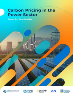 Carbon Pricing in the Power Sector: Annex B - Case Studies - cover