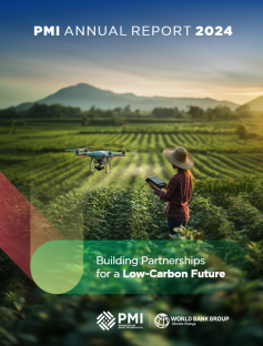 PMI Annual report 2024 PMIF Annual report 2024