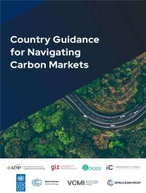 Country Guidance for Navigating Carbon Markets