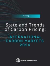 State and Trends of Carbon Pricing White Text